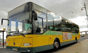Carris registou mais de 3.000 infrações por uso indevido de paragens e corredores BUS