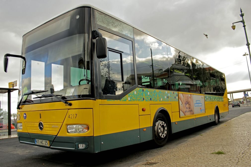 Carris registou mais de 3.000 infrações por uso indevido de paragens e corredores BUS