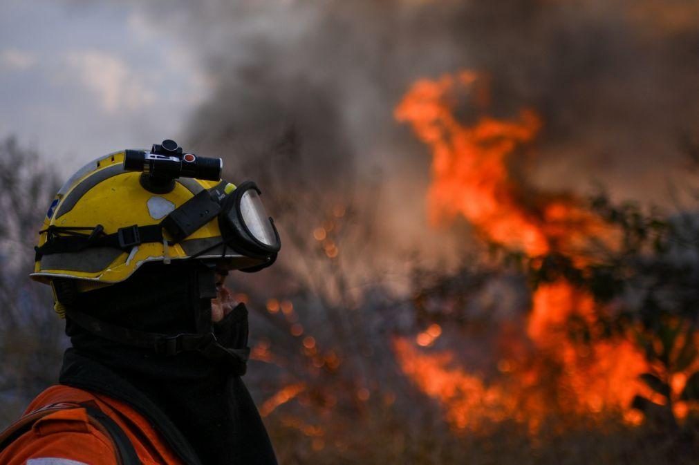 Incêndios impulsionam destruição de florestas tropicais a níveis recorde