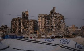 OMS garante que nenhum camião humanitário da agência entrou em Gaza