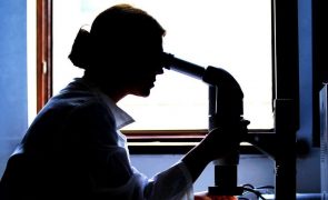Universidade de Coimbra vai produzir radiofármaco para deteção de Alzheimer