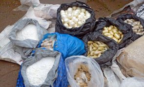 Moçambique apreendeu droga avaliada em 22,5 milhões de euros em 2024