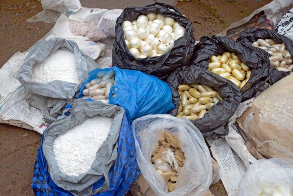 Moçambique apreendeu droga avaliada em 22,5 milhões de euros em 2024