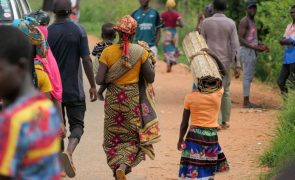 Mais de 577 mil pessoas continuam deslocadas em Moçambique