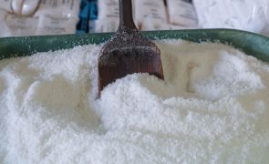 Comissão Europeia aprova indicação geográfica de Sal de Rio Maior