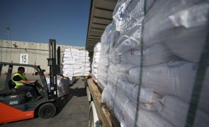 ONU denuncia saque de 15 camiões com ajuda para padarias em Gaza