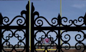 Harvard processa Governo dos EUA por proibir inscrição de alunos estrangeiros
