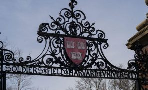Juíza federal bloqueia decisão de Trump sobre recusa de alunos estrangeiros em Harvard