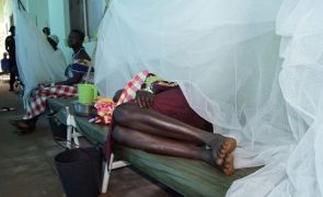Pelo menos 172 mortos por cólera numa semana no Sudão