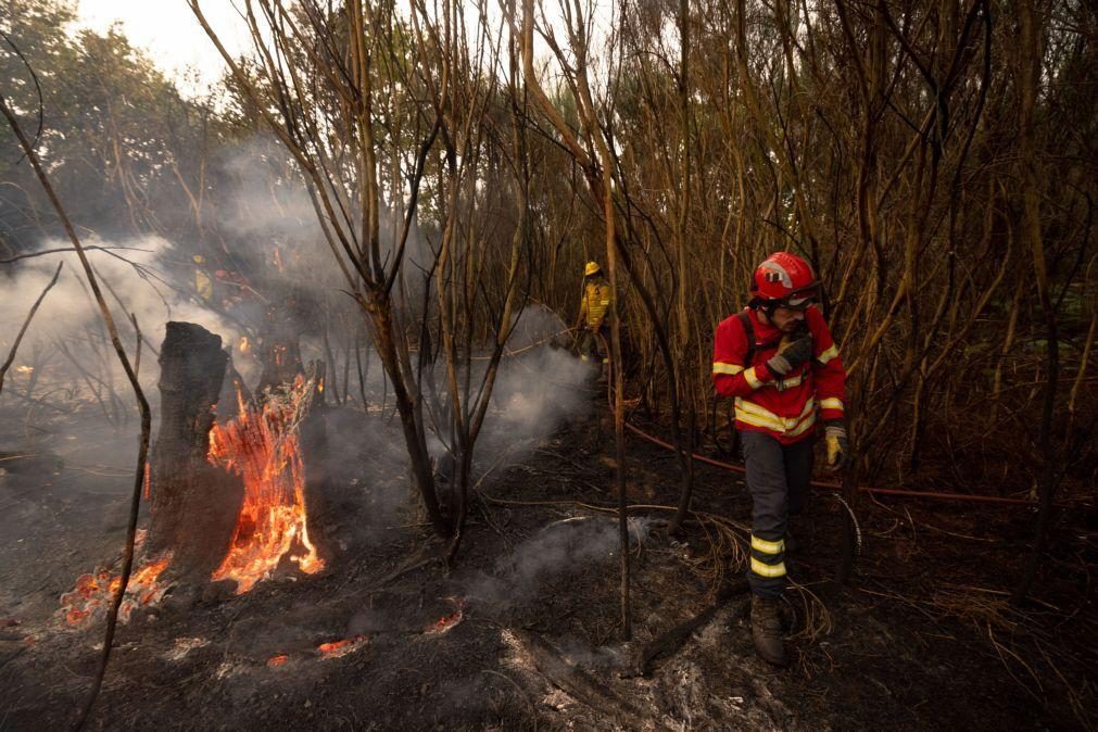 Aumento das temperaturas até sábado aumenta risco de fogos rurais