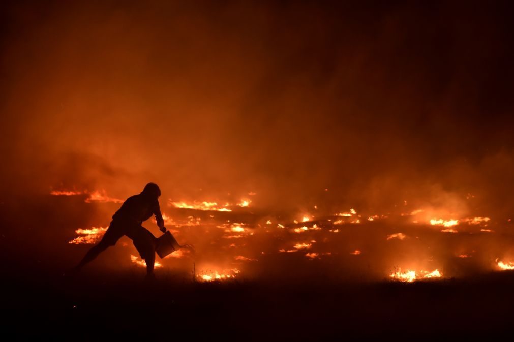 Governo aprova criação da Agência para a Gestão Integrada de Fogos Rurais