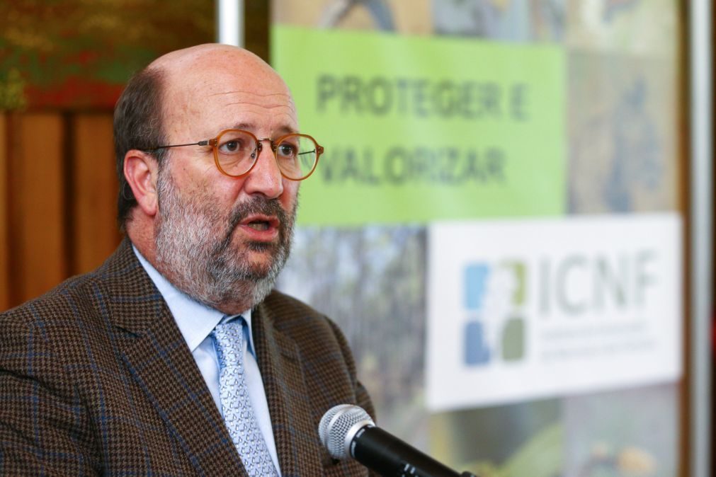 Ministro do Ambiente diz estar a