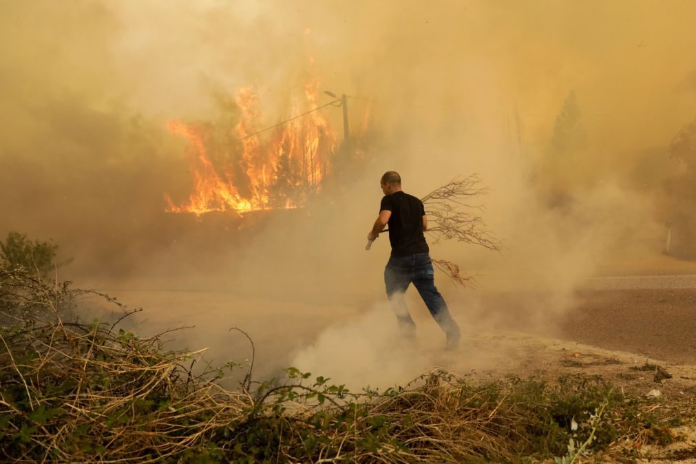 Incêndios: Bruxelas propõe ajuda de 50,6 milhões de euros a Portugal