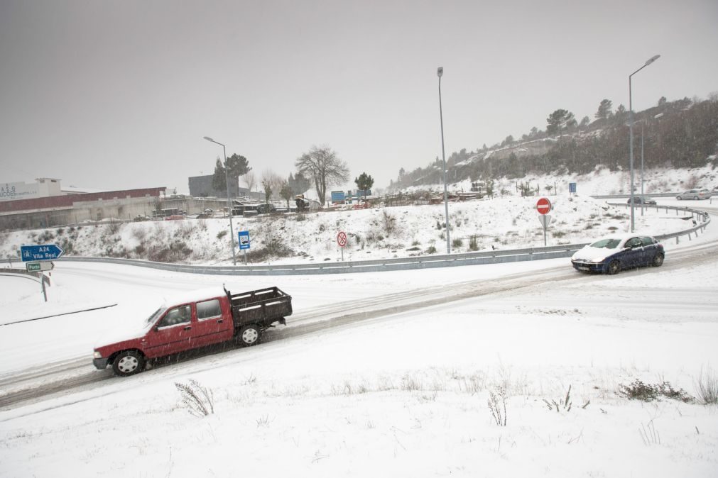 Alunos sem aulas e vias afetadas pela neve e queda de árvores em Vila Real