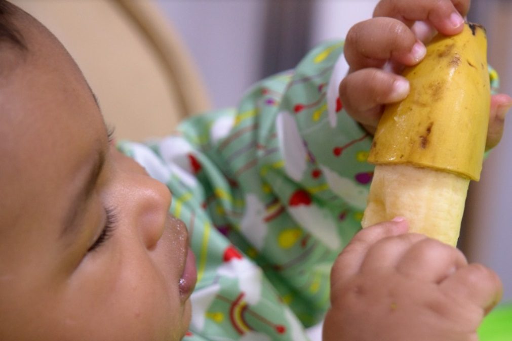 Baby Led Weaning. Conheça a moda de alimentação para bebés