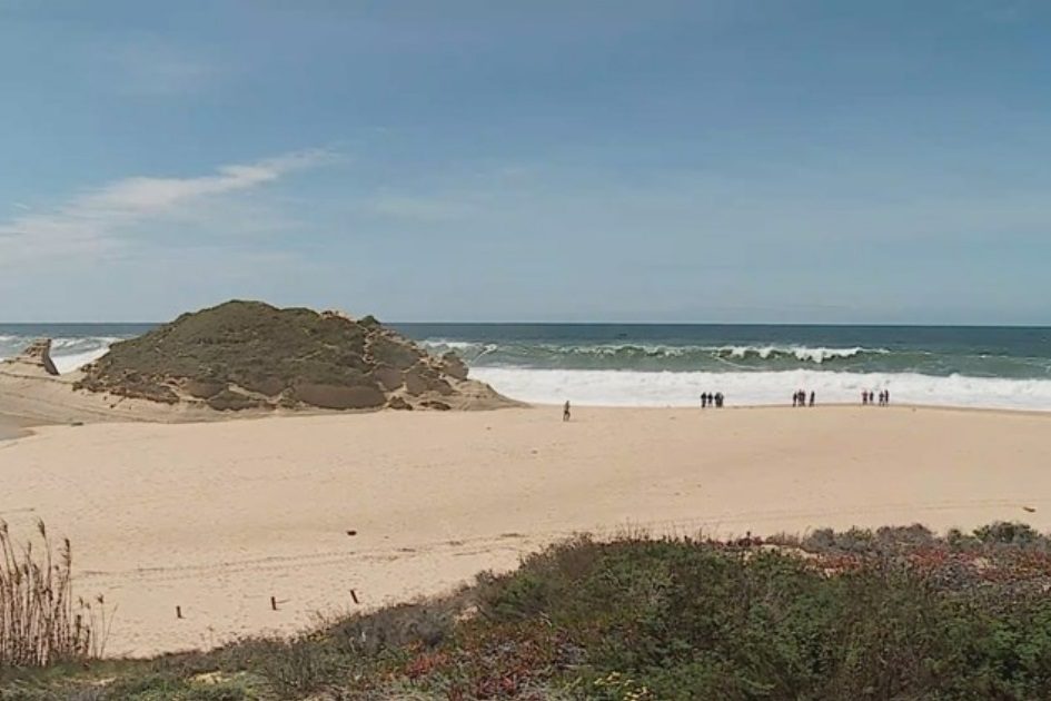 Bar do Meco vai oferecer gins e mojitos a quem traga lixo da praia