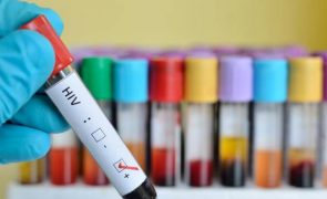 Nova vacina contra o VIH apresenta bons resultados