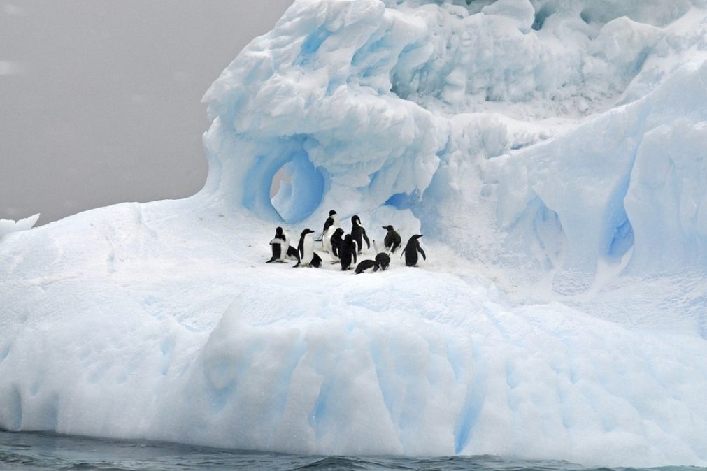 Acelera o degelo da Antártida
