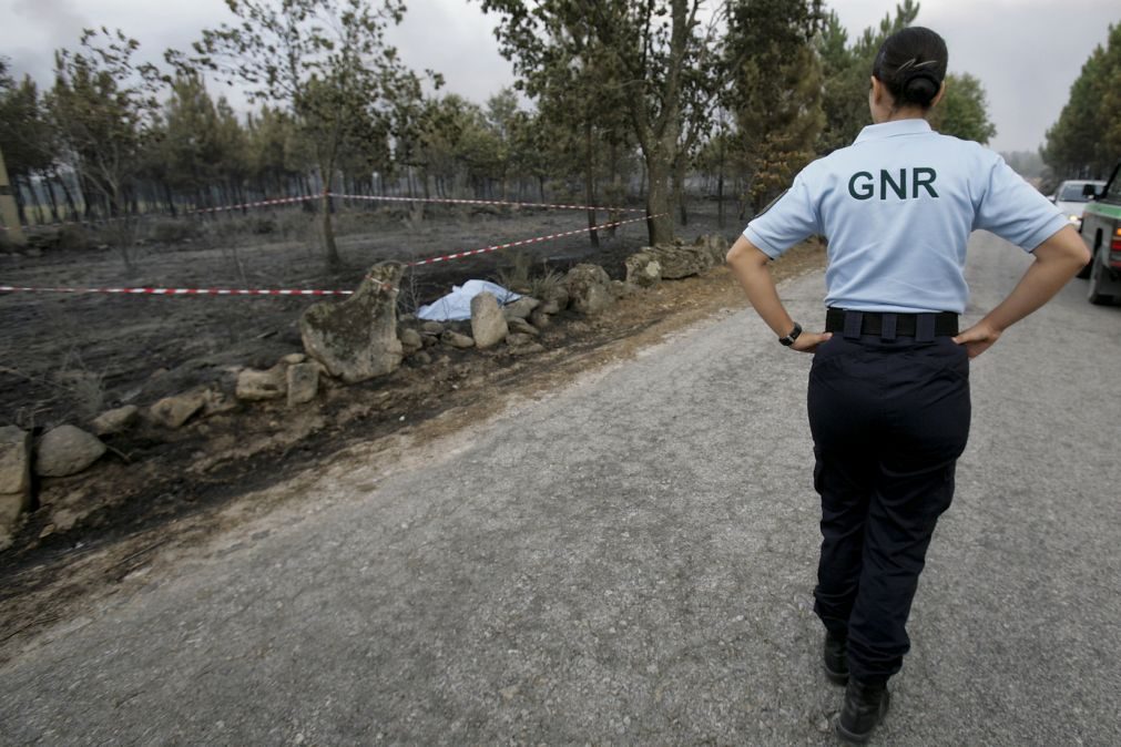 GNR eliminou cerca de 400 autos de contraordenação sobre limpeza de mato