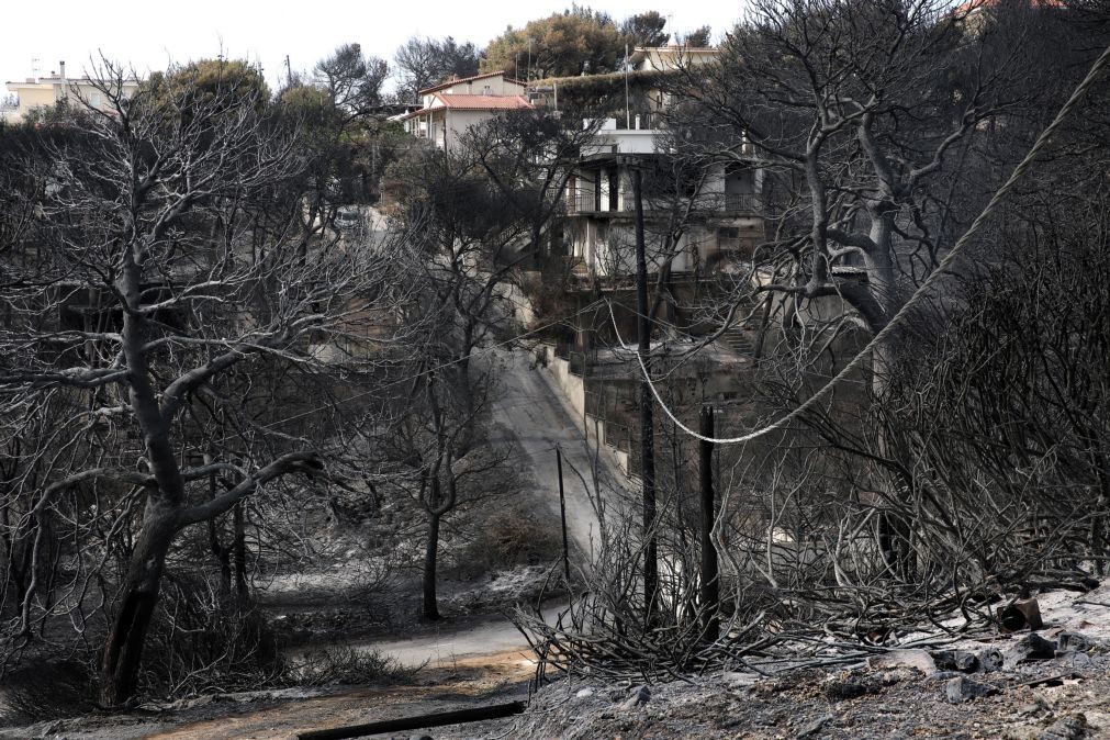 Partida de bombeiros para a Grécia depende de autoridades europeias e gregas