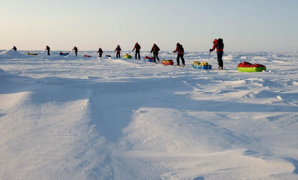 Ártico vai deixar de ter verões gelados. Temperaturas vão subir até 5 graus