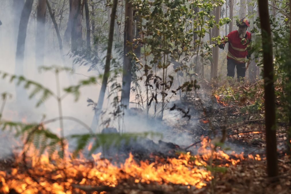 Mais de uma centena de bombeiros combatem fogo no Fundão, Castelo Branco