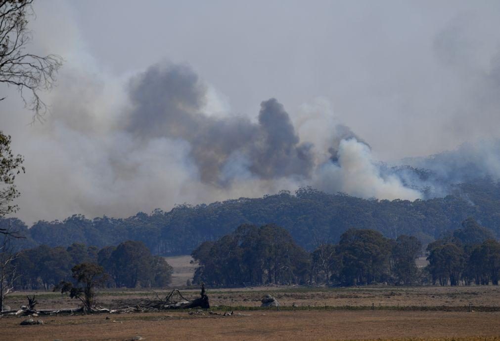 Incêndios | Pelo menos três mortos em mais de 70 fogos ativos na Austrália