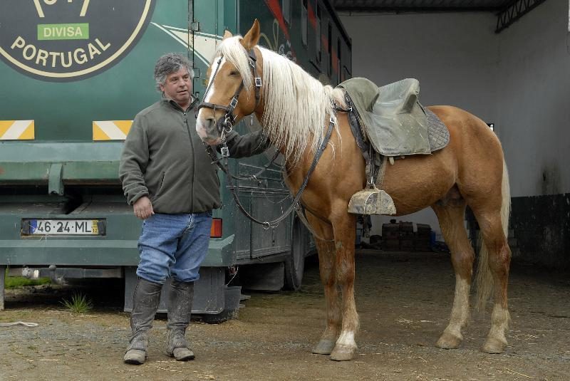 Cavaleiro João Moura arrisca até dois anos de prisão por maus-tratos a animais