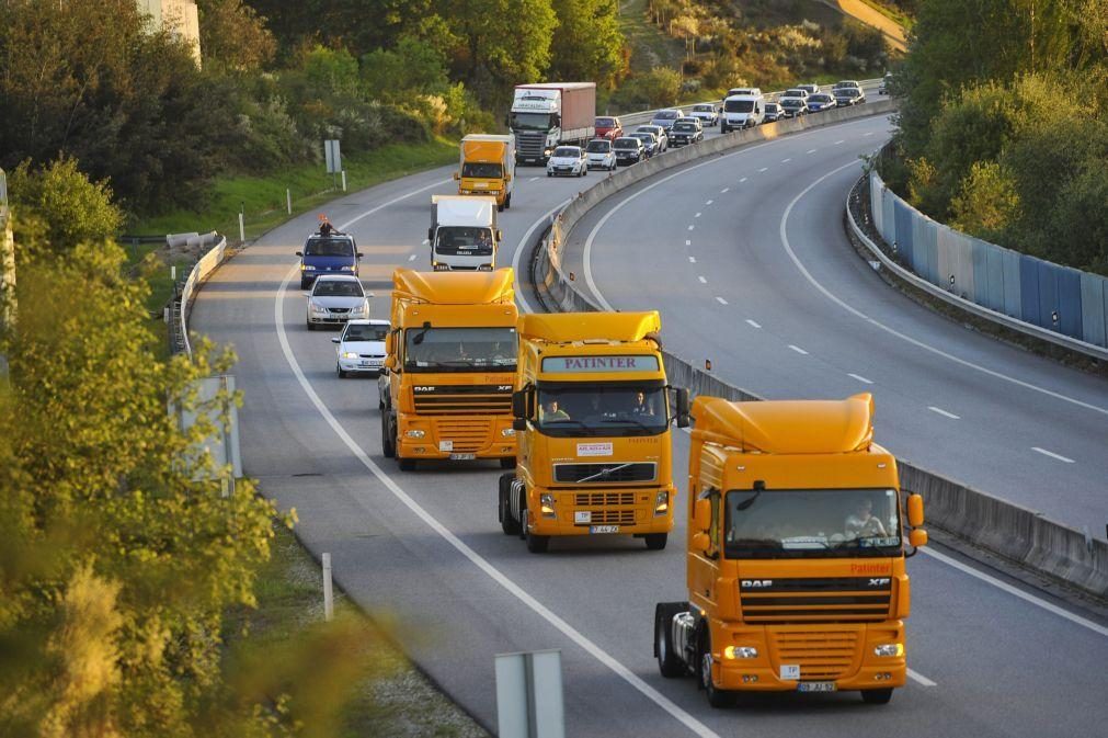 Plataforma da A23 e A25 apela ao Governo para suspender portagens até final do ano