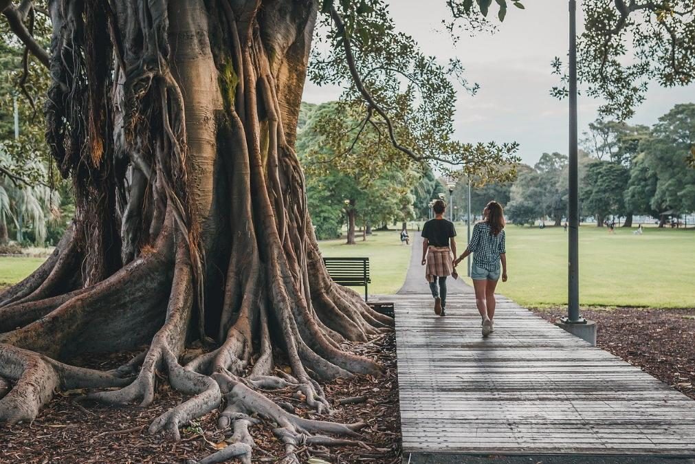 Covid-19: O que pode e não pode fazer-se a partir de 2.ª-feira nos espaços de lazer e de exercício