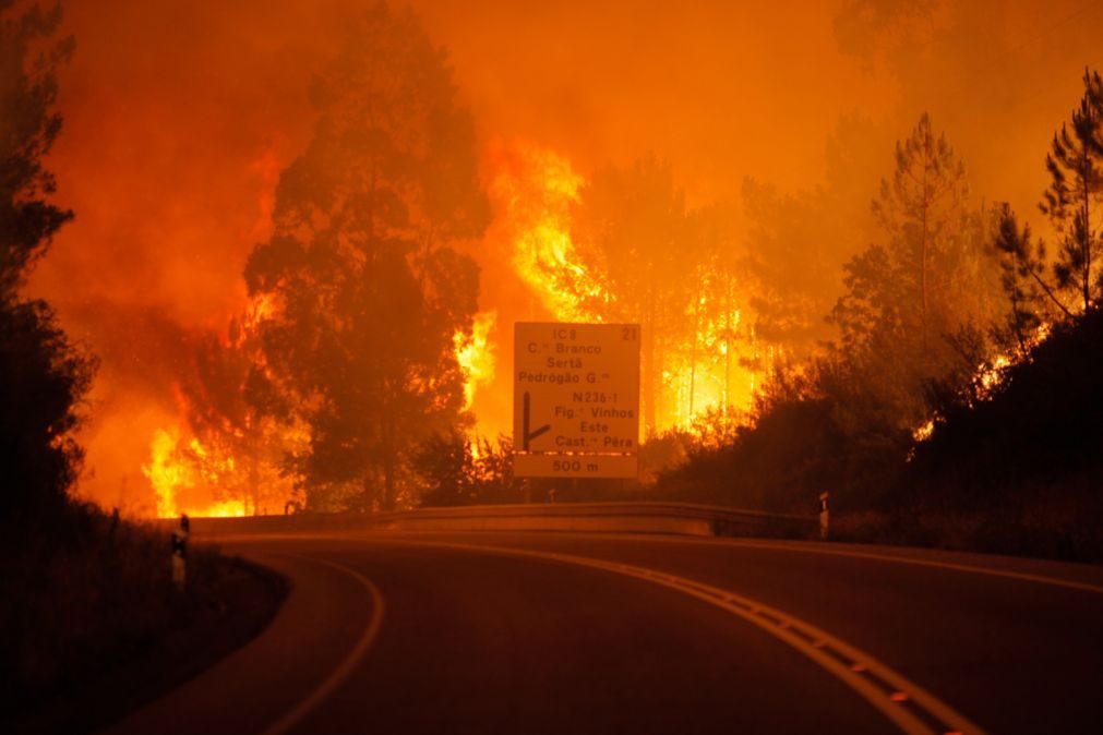 Incêndio de Pedrógão Grande que matou 66 pessoas aconteceu há três anos