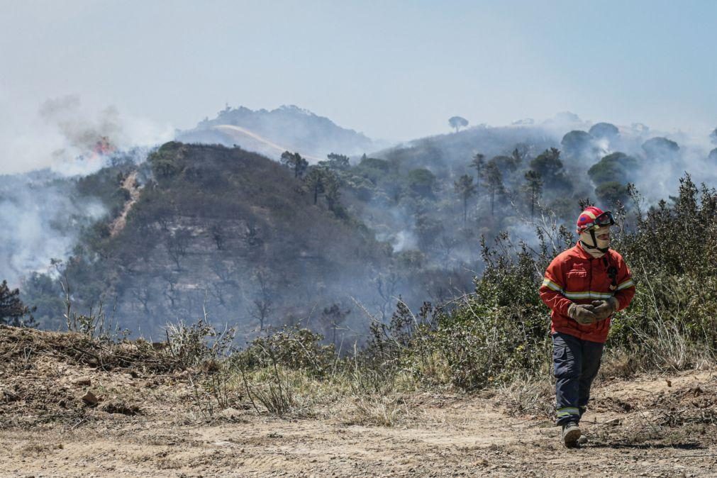 Trinta concelhos de cinco distritos do continente em risco máximo de incêndio