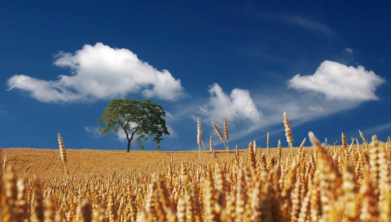 Meteorologia: Previsão do tempo para segunda-feira, 13 de julho