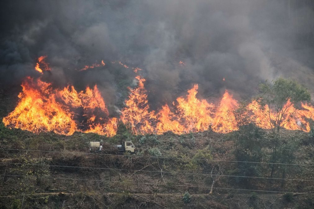 Mais de 30 concelhos de quatro distritos em risco máximo de incêndio