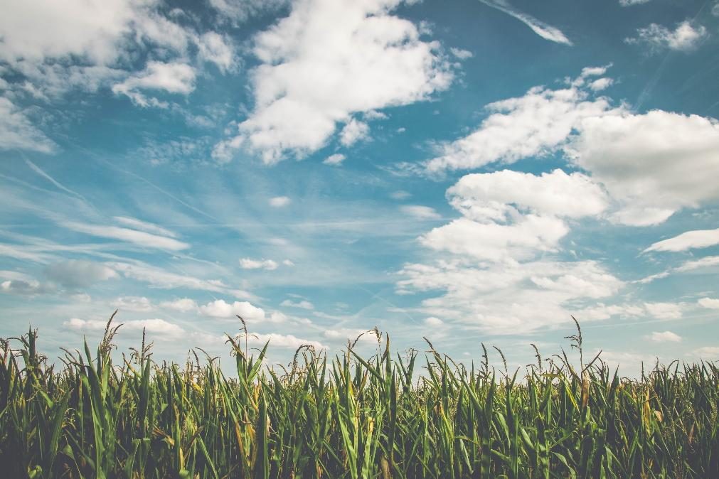 Meteorologia: Previsão do tempo para segunda-feira, 5 de outubro