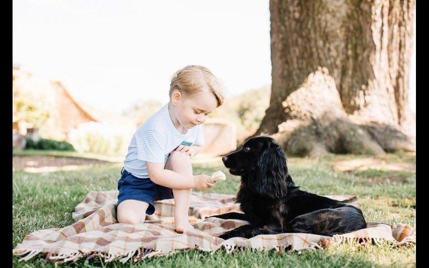 Morreu Lupo, o cão de William e Kate Middleton