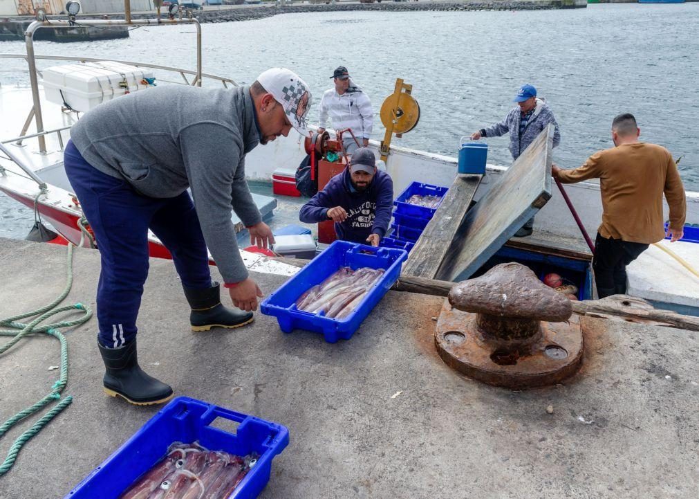 Mais de 500 pescadores açorianos começam a receber apoios na terça-feira