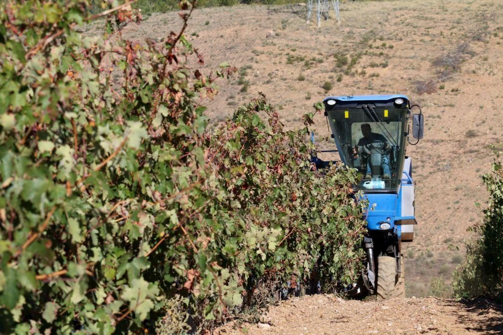 Governo altera regime da pagamentos base para jovens agricultores e pequena agricultura