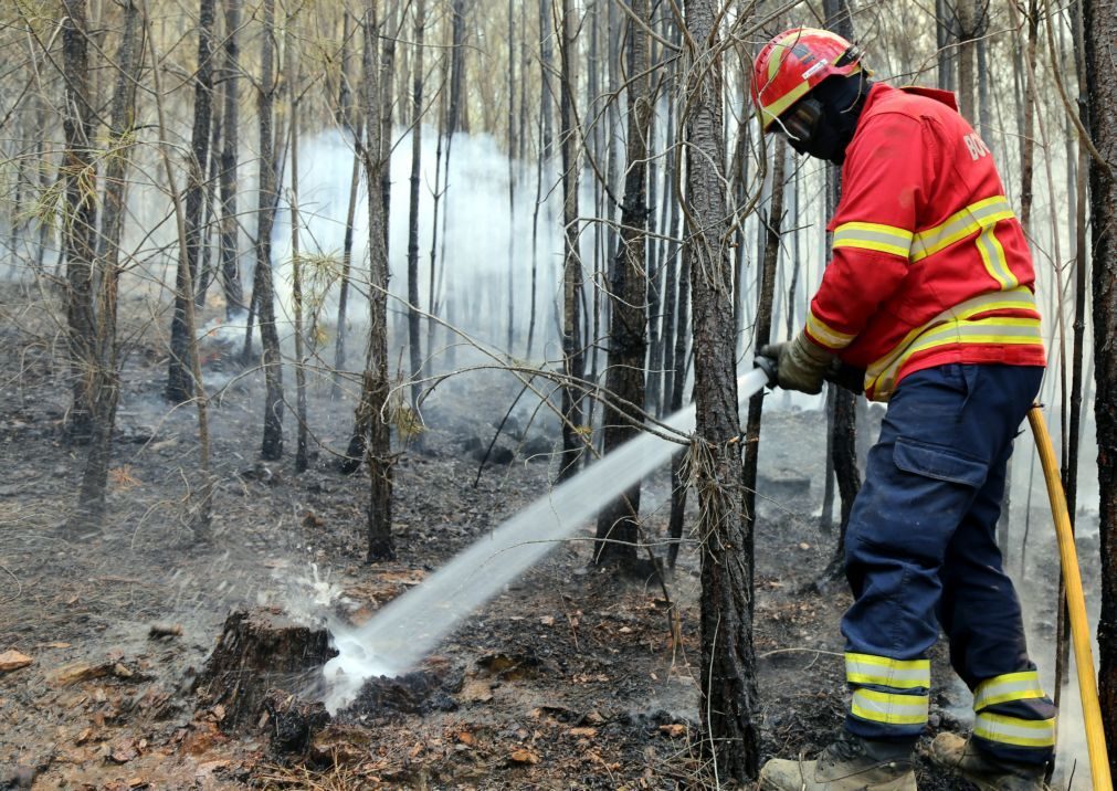 Alerta: Leite não é antídoto para inalação de fumos