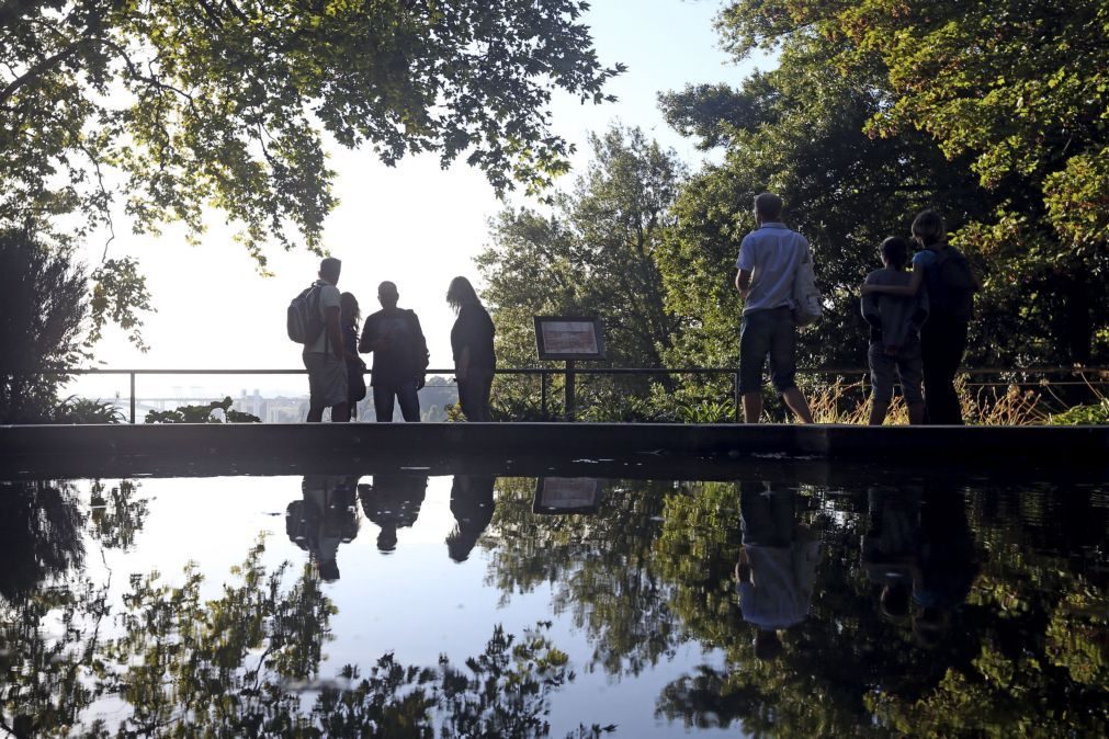 Lago dos Jardins do Palácio de Cristal no Porto requalificado por 131 mil euros