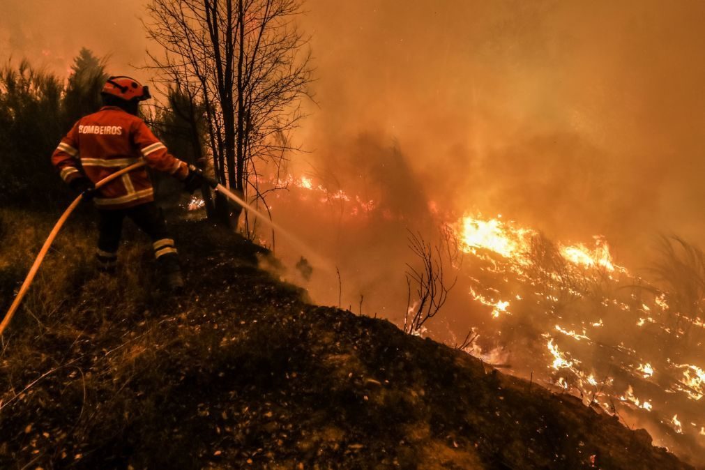 Área ardida este ano 12 vezes superior ao mesmo período de 2016