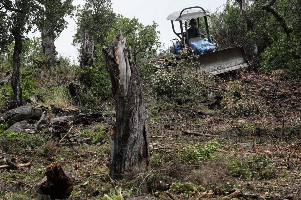 Governo prevê prolongar prazo para limpeza de terrenos pelos proprietários até 15 de maio