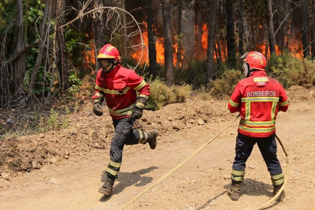 Fogo de Pedrógão Grande obrigou à evacuação de treze aldeias