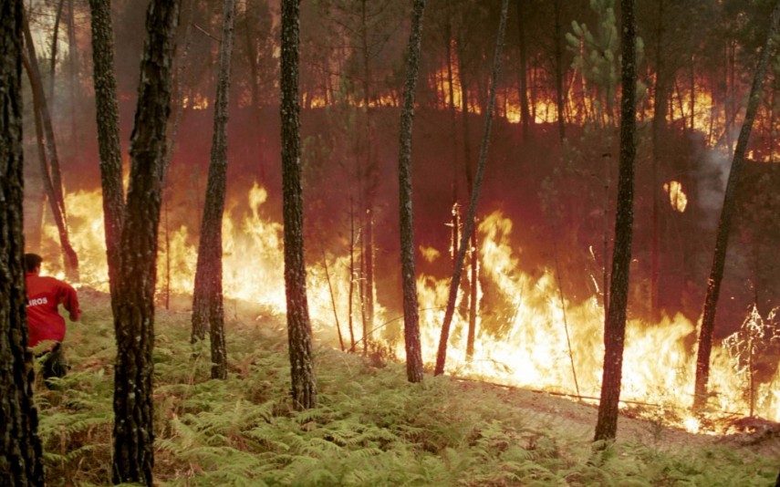 Tragédia O abraço dos bombeiros que salvou vidas