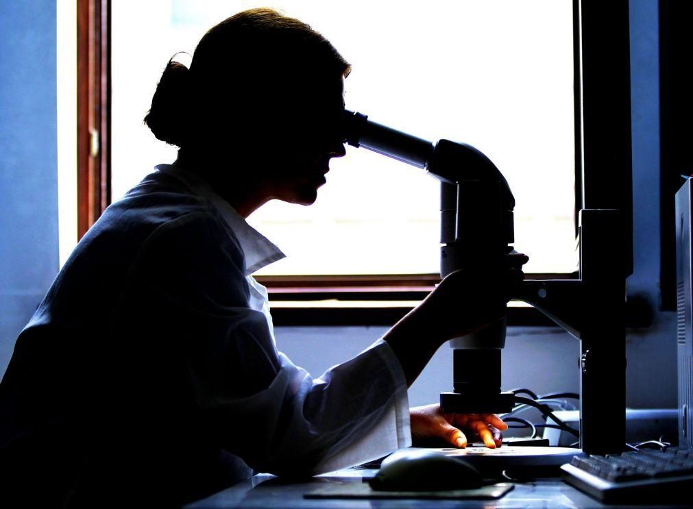 Estudo mostra que hidrogel inovador reverte células cancerígenas com rapidez