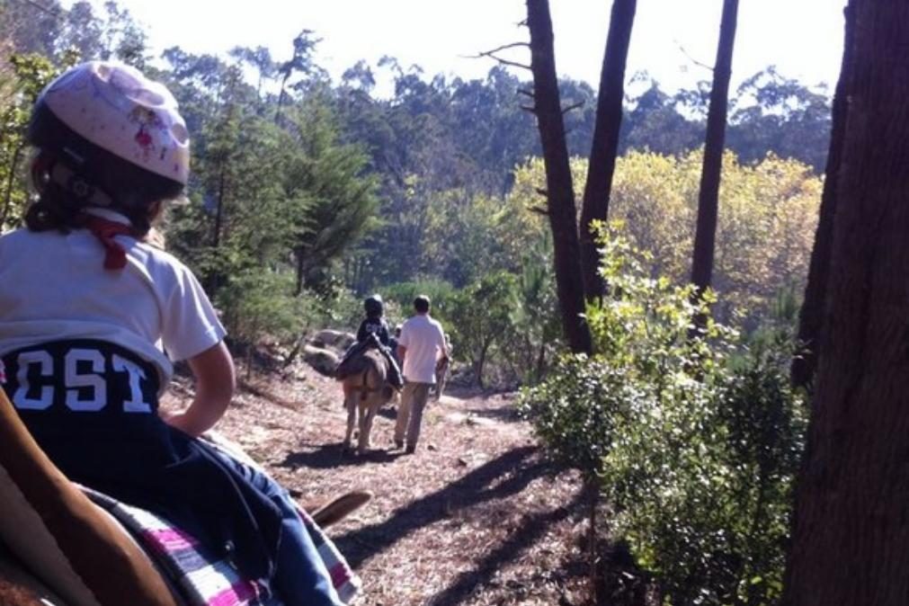 Parques de Sintra reabrem em 5 de abril após segundo confinamento