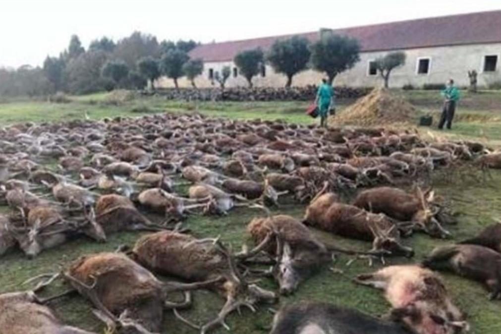 Matança na Herdade da Torre Bela sem arguidos um ano depois