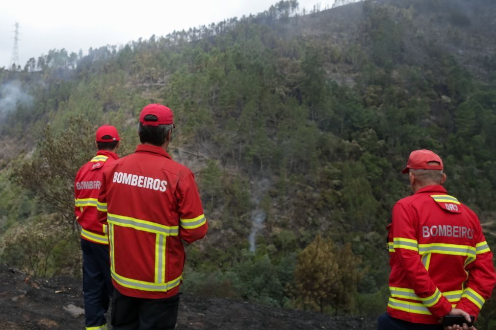 Associações de bombeiros criticam falta de fiscalização nas florestas