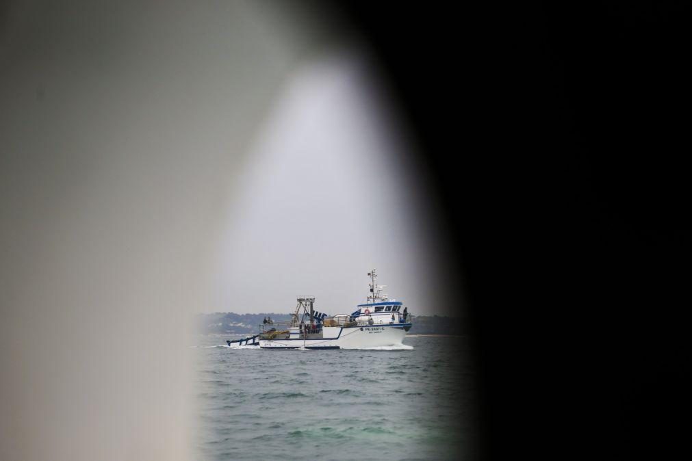 Pescadores querem aumento das capturas de sardinha até novembro