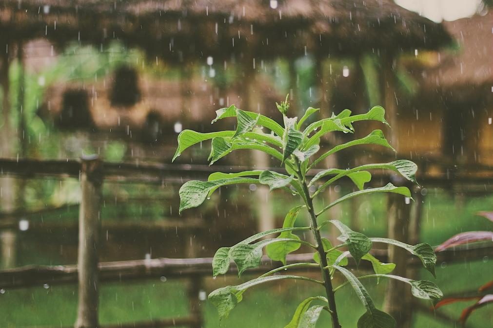 Previsão do tempo aponta para chuva fraca no Norte e sol no Sul